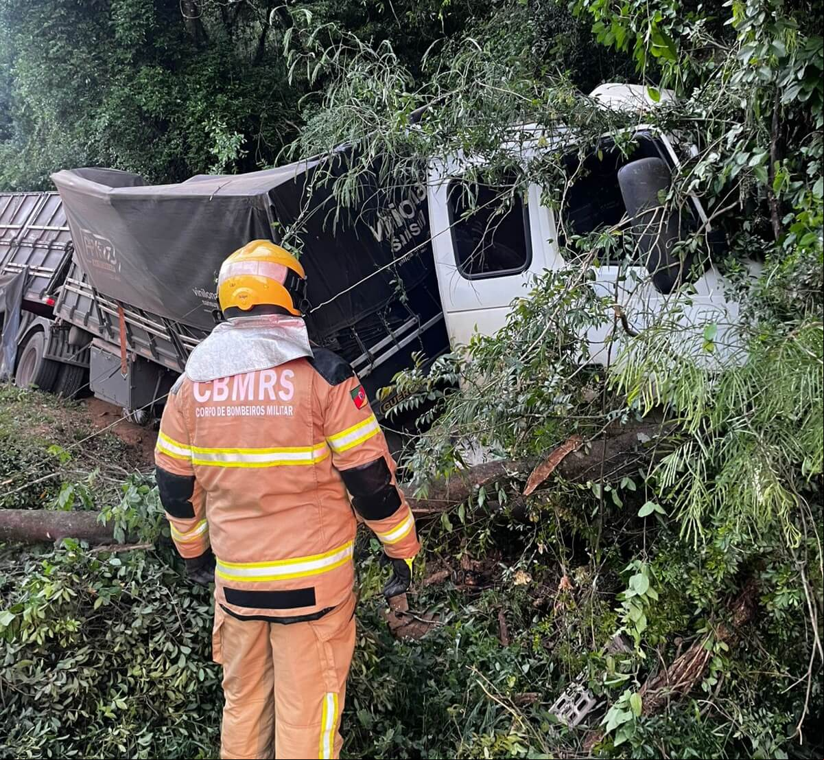 Capa Carreta bitrem sai da pista e colide com árvore na BR-386 em Almirante Tamandaré do Sul
