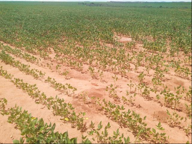 Capa Governo Federal reconheceu a situação de emergência decretada pelo Município de Chapada.