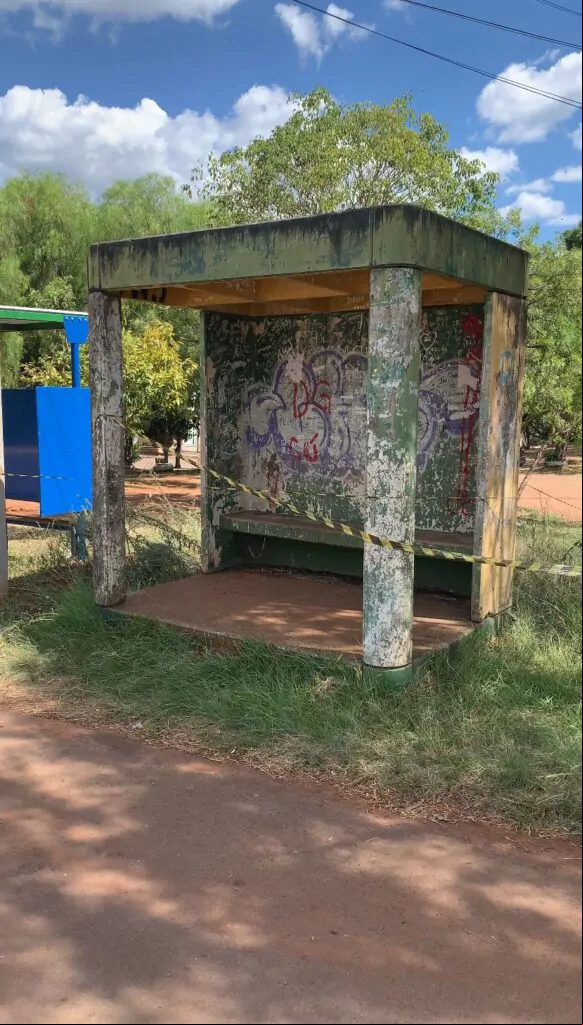 Capa Duas pessoas são encaminhadas para hospital após ataques de abelhas em o Fundo