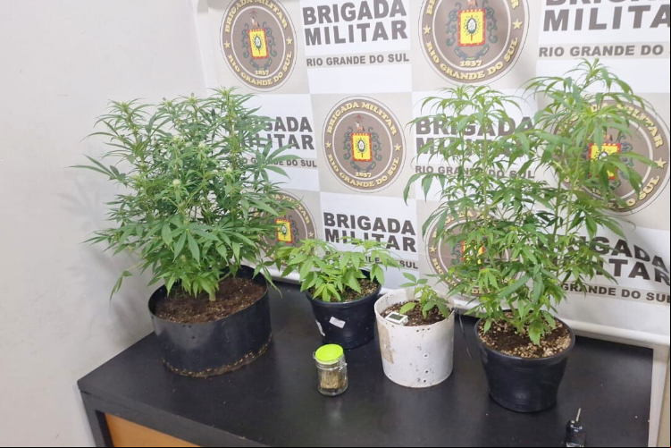 Capa Brigada Militar prende homem com pés de maconha em o Fundo